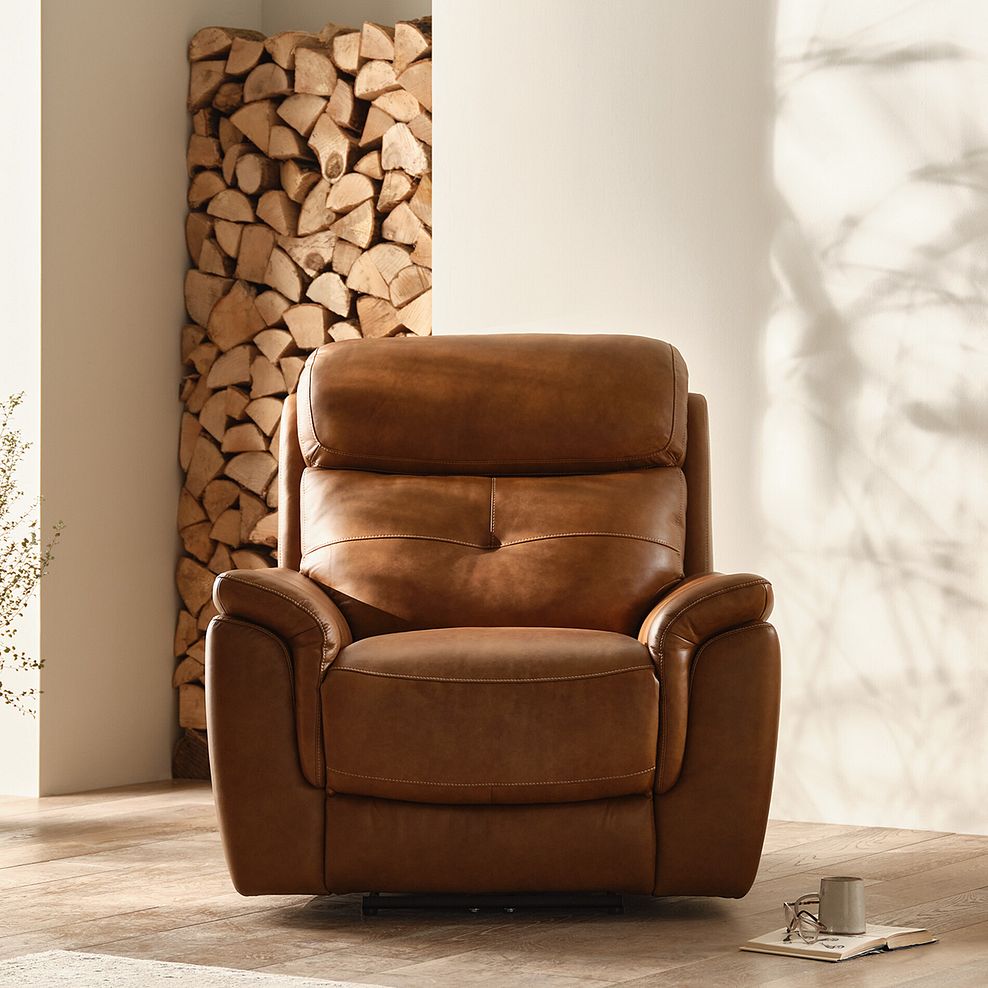 Iver Armchair in Virgo Cognac Leather 1