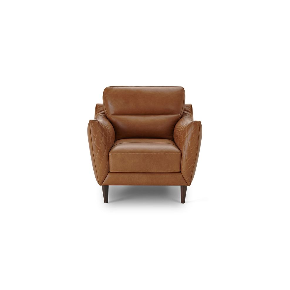 Lucca Armchair in Apollo Ranch Leather 2