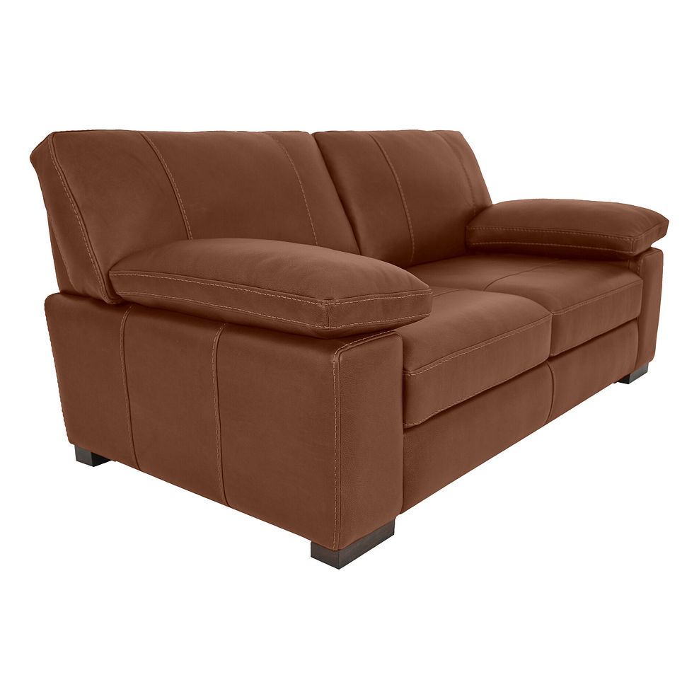 Matera 2 Seater Sofa in Apollo Espresso Leather 1