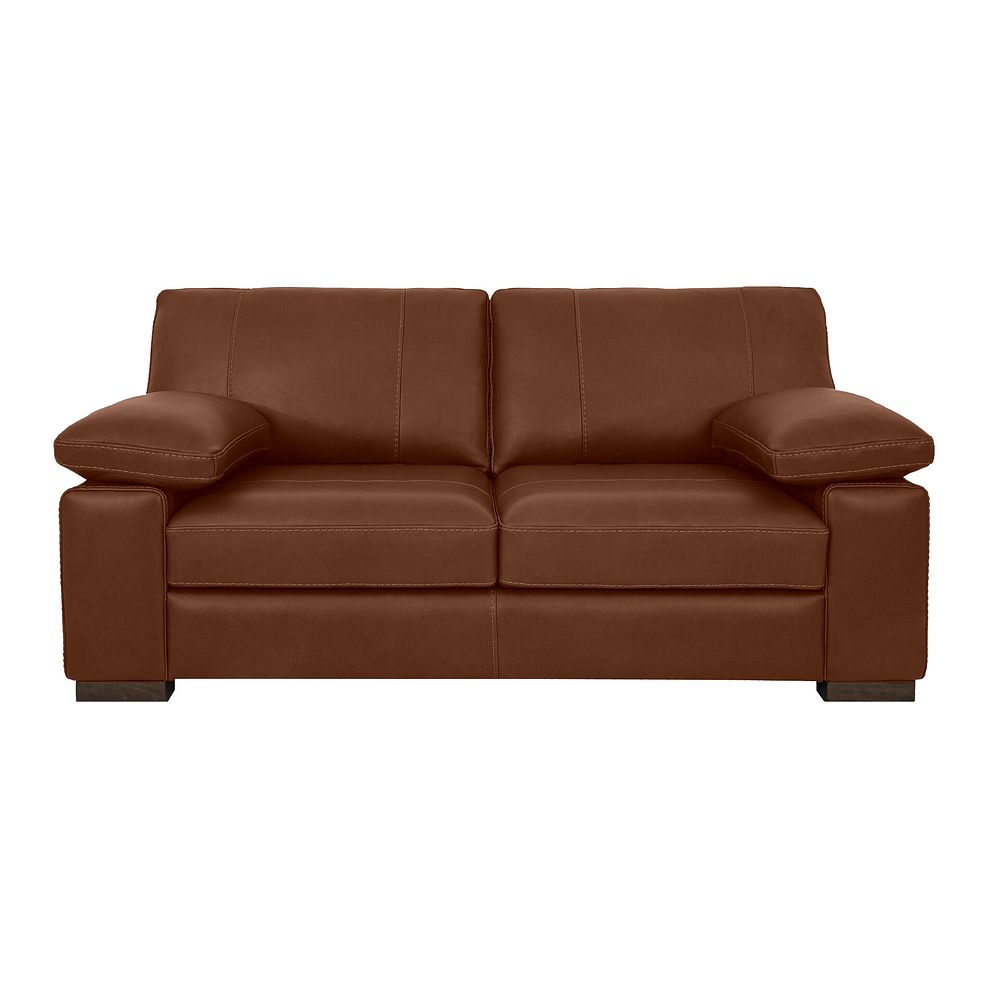 Matera 2 Seater Sofa in Apollo Espresso Leather 2