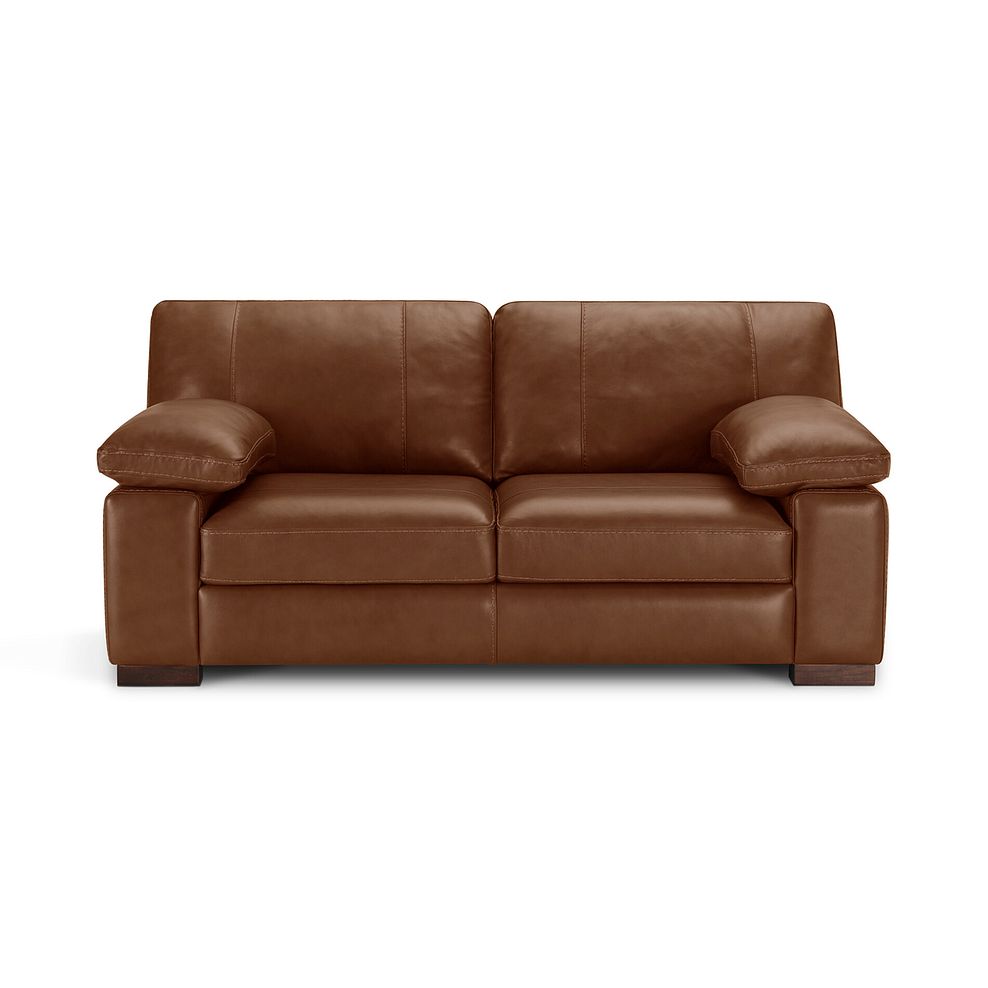 Matera 2 Seater Sofa in Apollo Espresso Leather 2