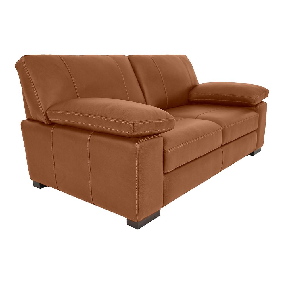 Matera 2 Seater Sofa in Apollo Ranch Leather 1