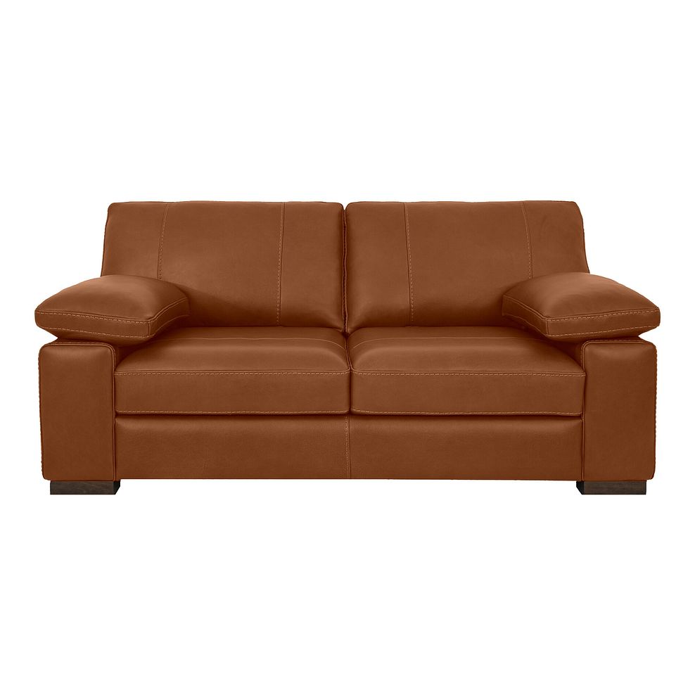 Matera 2 Seater Sofa in Apollo Ranch Leather 2
