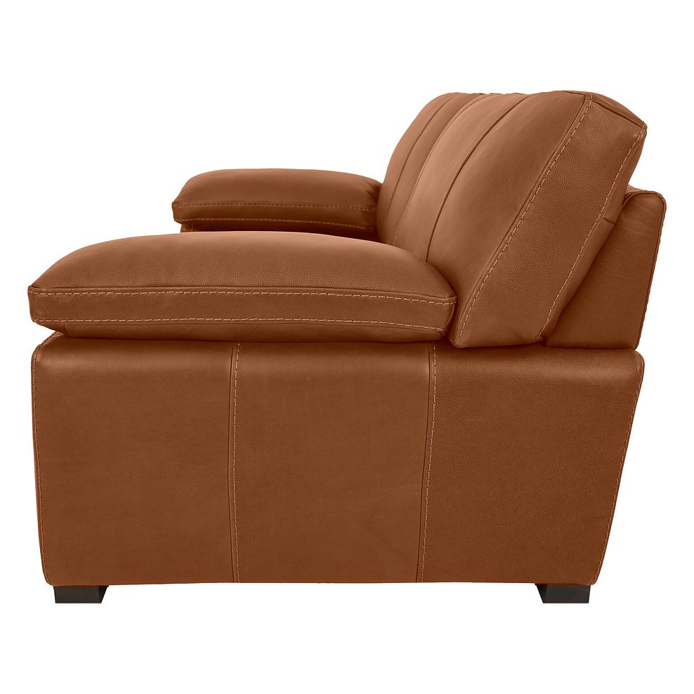 Matera 2 Seater Sofa in Apollo Ranch Leather 3
