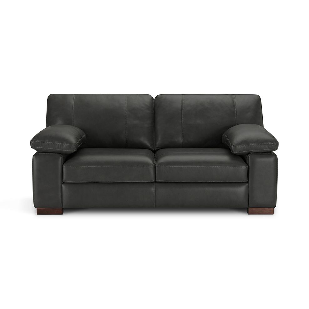 Matera 2 Seater Sofa in Caruso Fog Leather 2