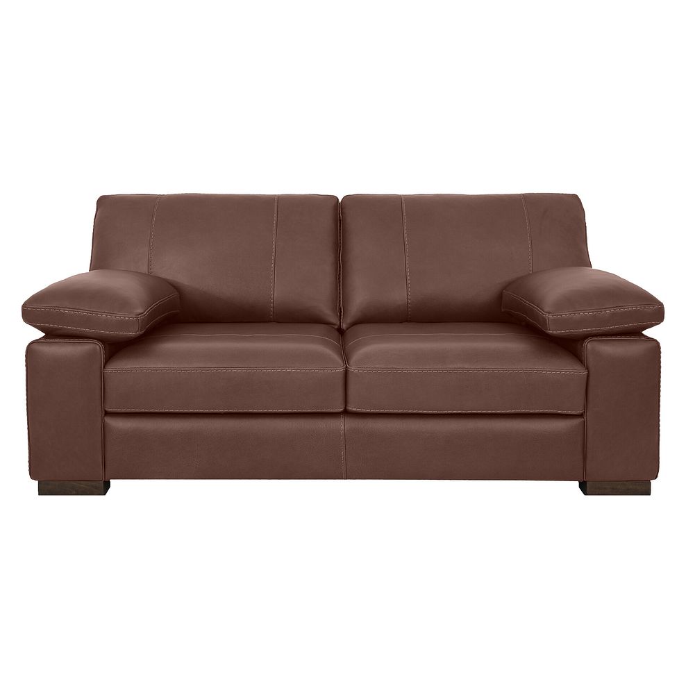 Matera 2 Seater Sofa in Caruso Whiskey Leather 2