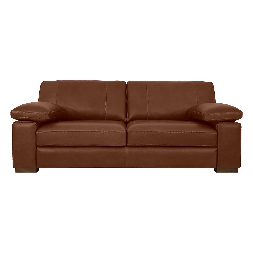 Matera 3 Seater Sofa in Apollo Espresso Leather 2