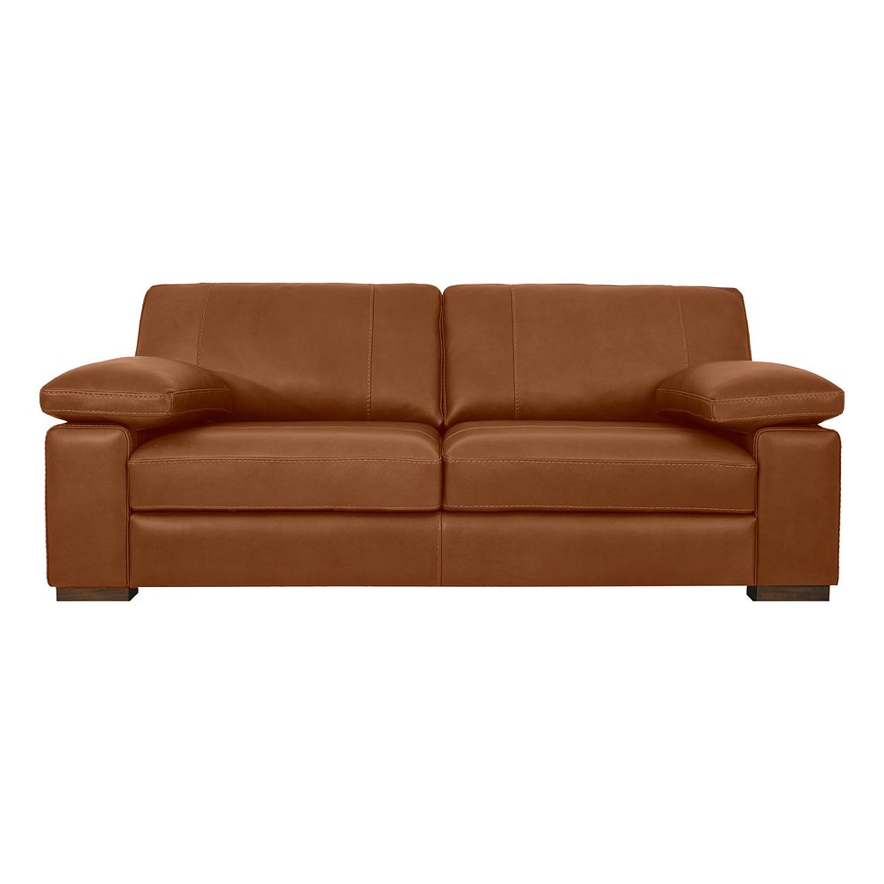 Matera 3 Seater Sofa in Apollo Ranch Leather 2