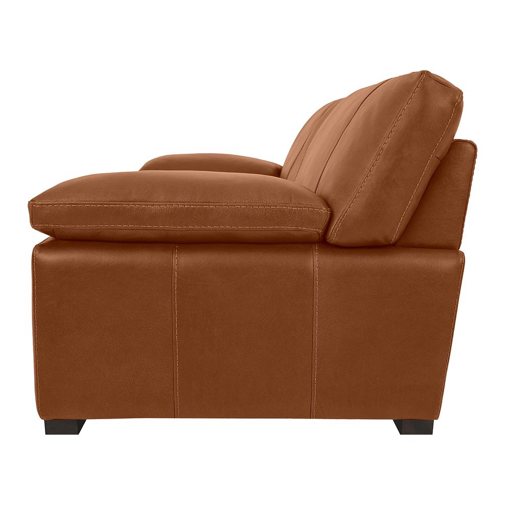 Matera 3 Seater Sofa in Apollo Ranch Leather 3