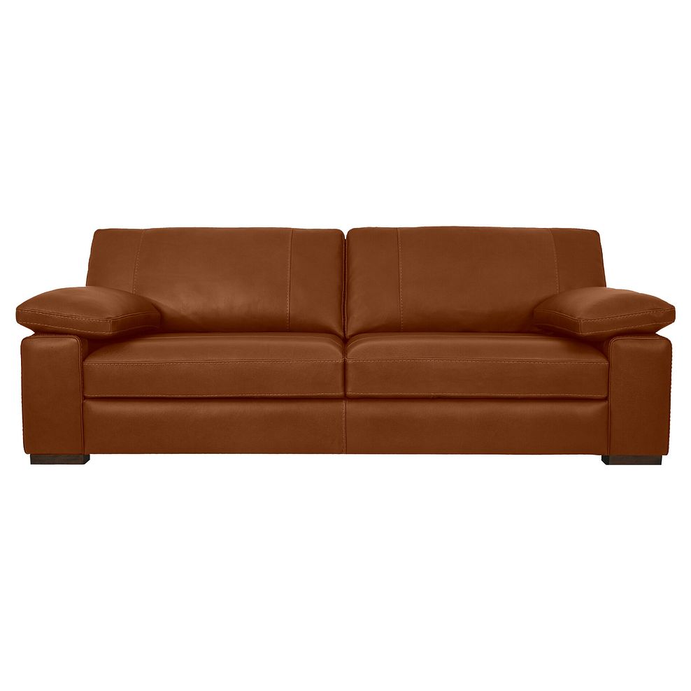 Matera 4 Seater Sofa in Apollo Ranch Leather 2