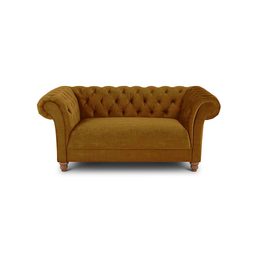 Montgomery 2 Seater Sofa in Saffron Velvet 2
