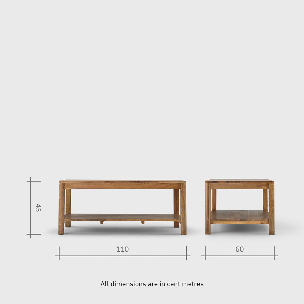 Noah Solid Mango Coffee Table 11