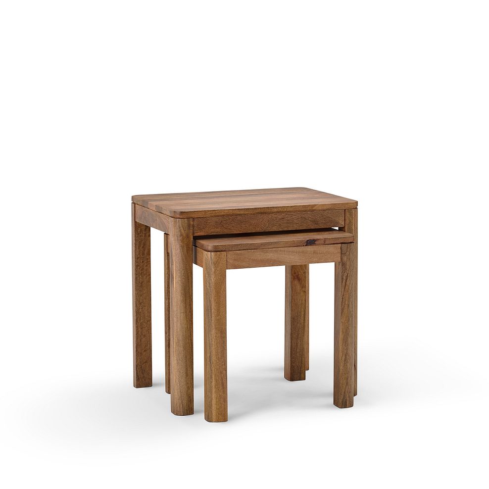 Noah Solid Mango Nest of 2 Tables 4