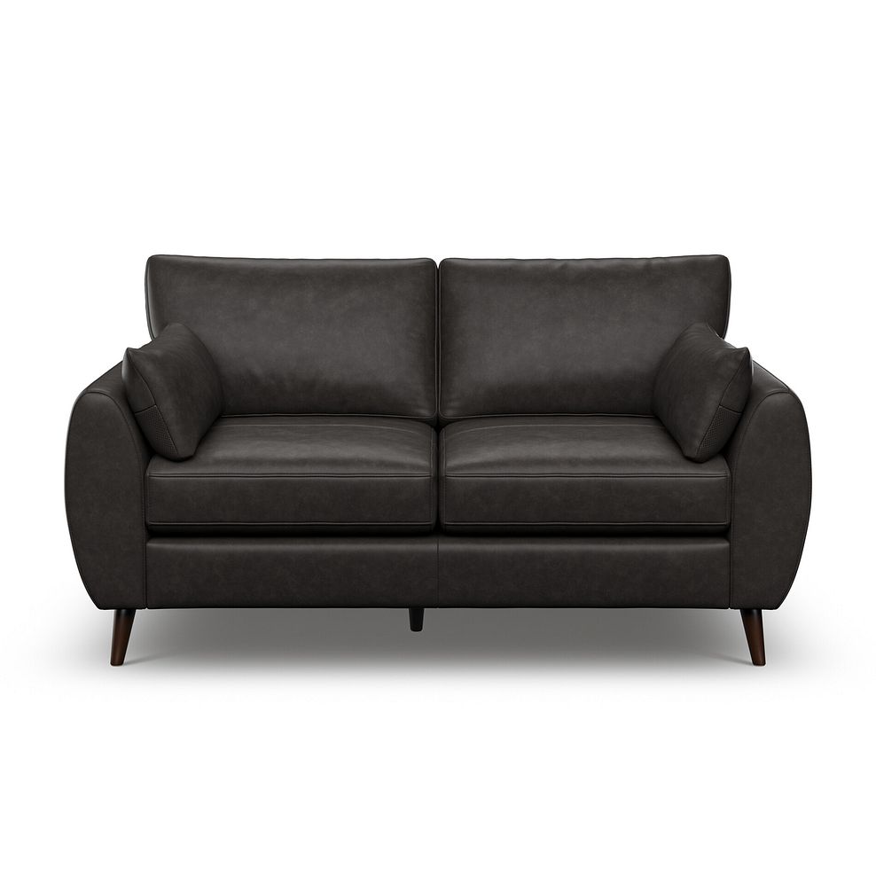 Nova 2 Seater Sofa in Ash Leather 2