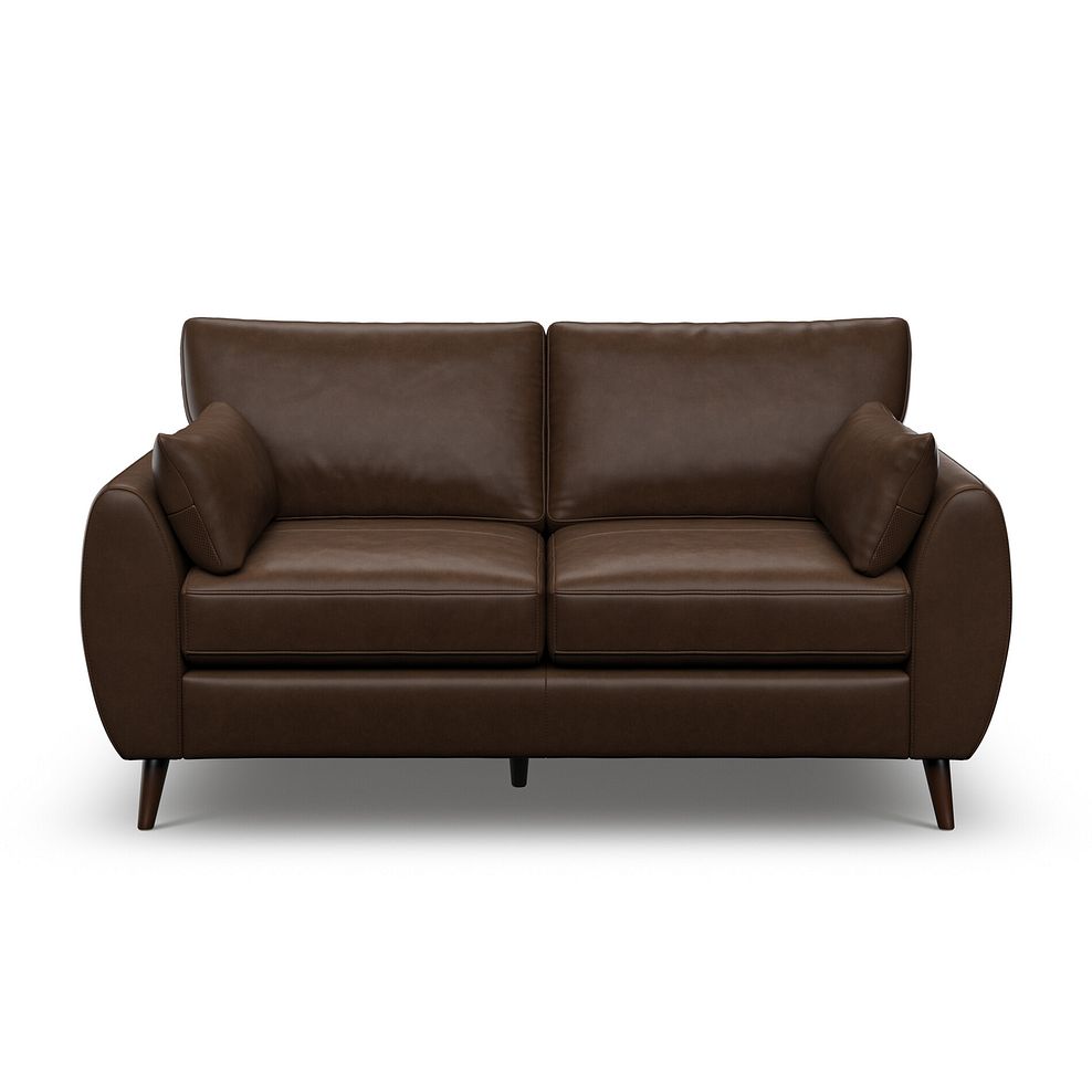 Nova 2 Seater Sofa in Dark Brown Leather 2