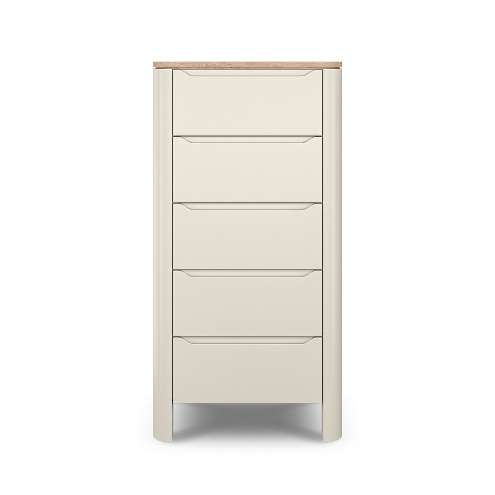 Otto Smoked Oak Finish and Cashmere Painted Tallboy 5