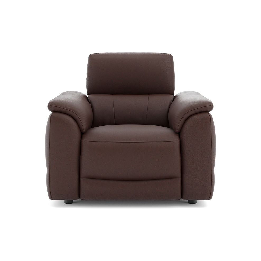 Phoenix Power Recliner Armchair in  Chestnut Leather 2