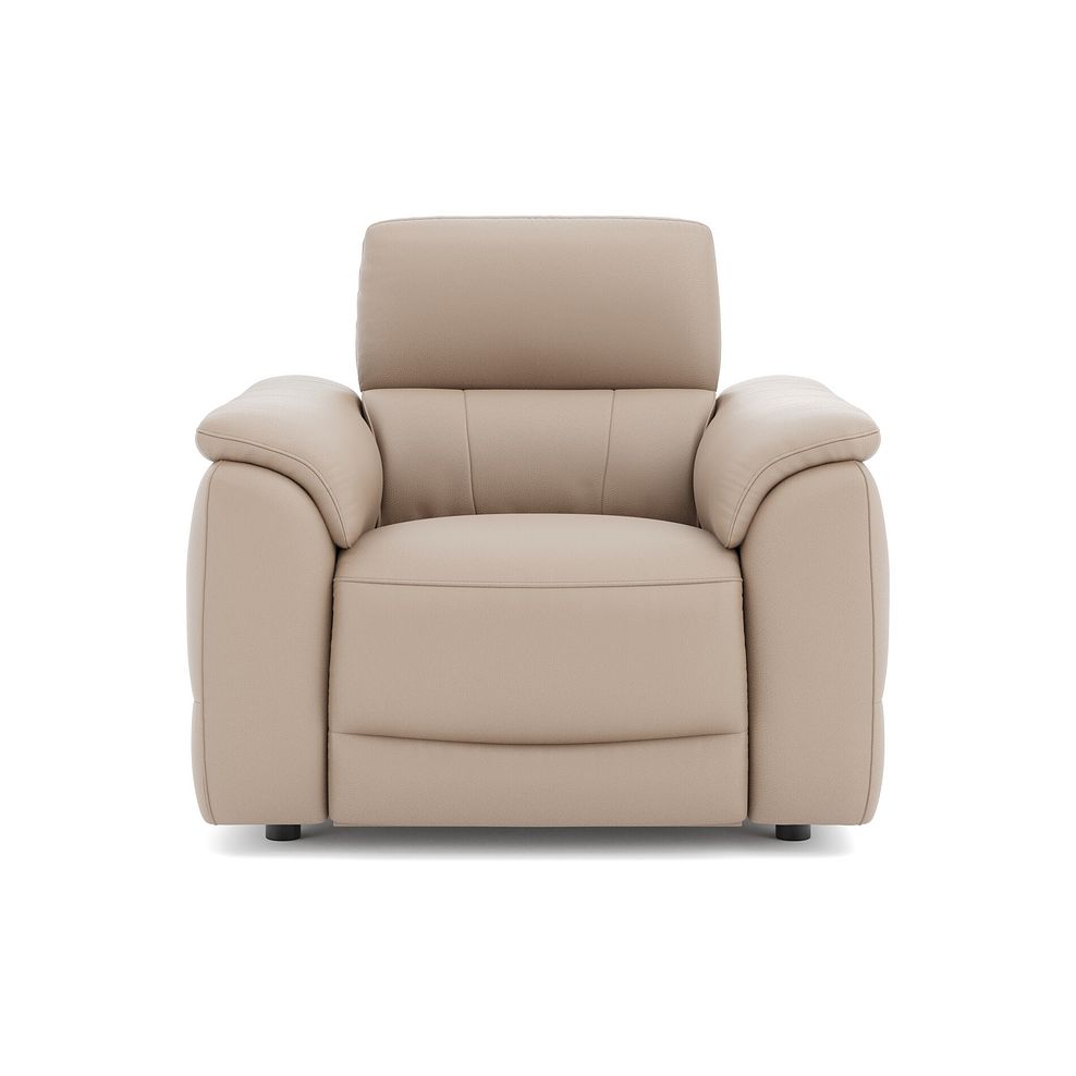 Phoenix Power Recliner Armchair in  Mushroom Leather 2