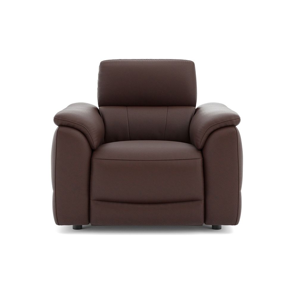 Phoenix Power Recliner Armchair with Adjustable Power Headrest and Speakers in  Chestnut Leather 2