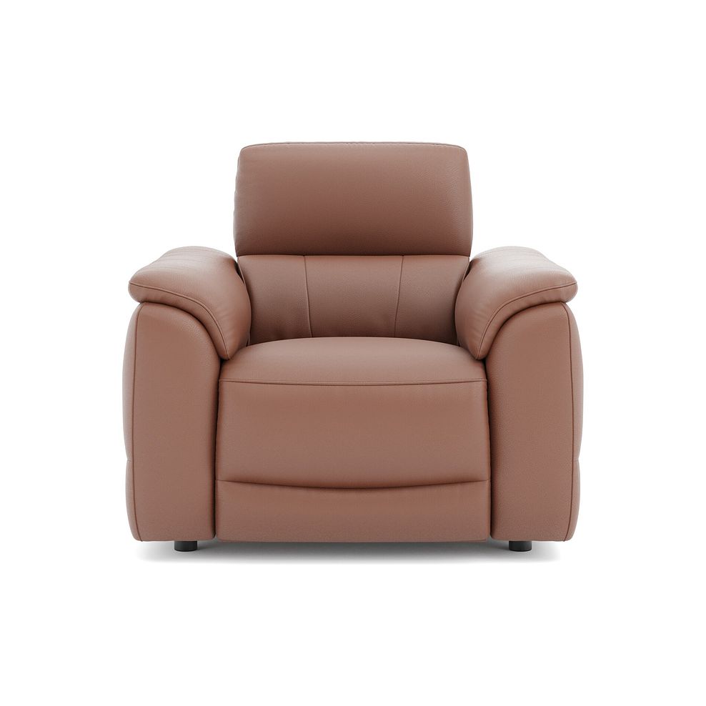 Phoenix Power Recliner Armchair with Adjustable Power Headrest and Speakers in  Mocha Mousse Leather 2
