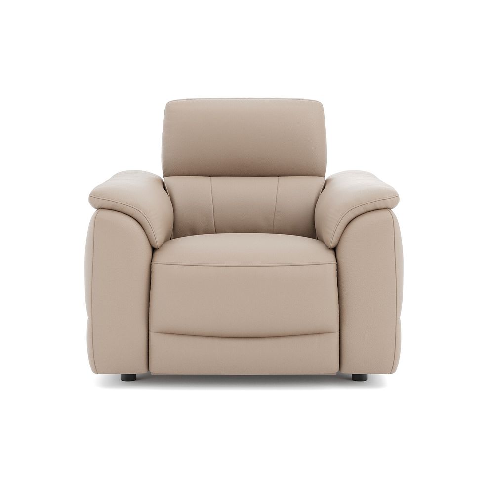 Phoenix Power Recliner Armchair with Adjustable Power Headrest and Speakers in  Mushroom Leather 2