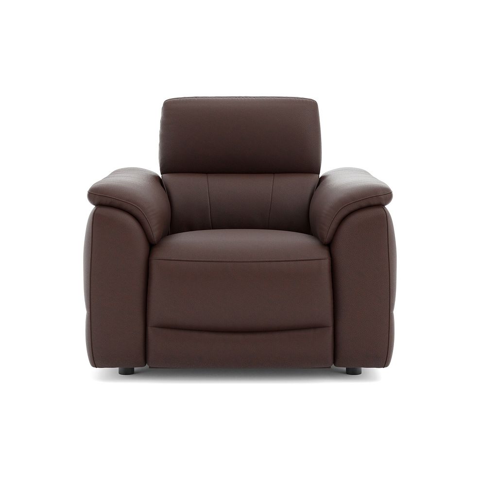 Phoenix Power Recliner Armchair with Adjustable Power Headrest in  Chestnut Leather 2