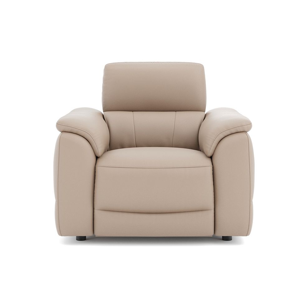 Phoenix Power Recliner Armchair with Adjustable Power Headrest in  Mushroom Leather 2