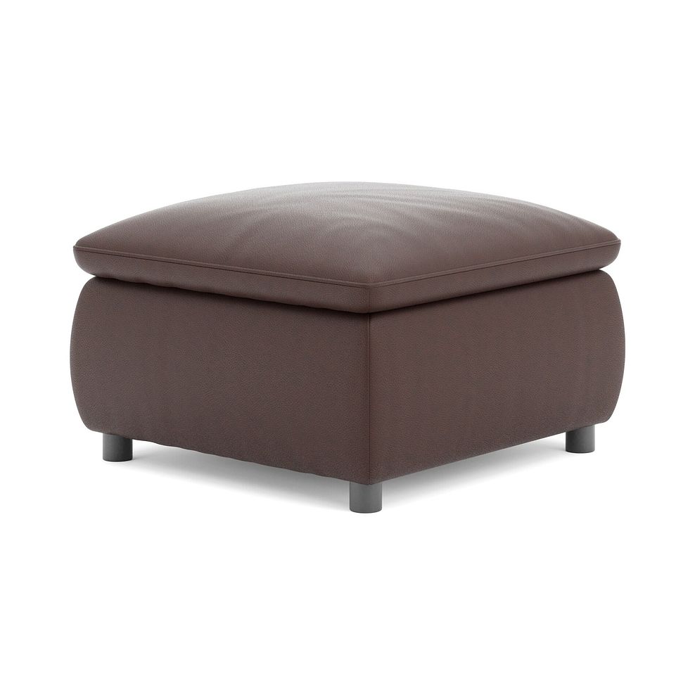 Phoenix Storage Footstool in Chestnut Leather 5