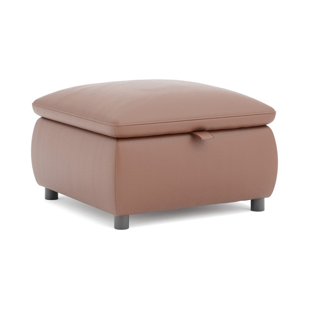 Phoenix Storage Footstool in Mocha Mousse Leather 1