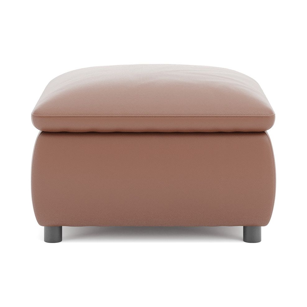 Phoenix Storage Footstool in Mocha Mousse Leather 6
