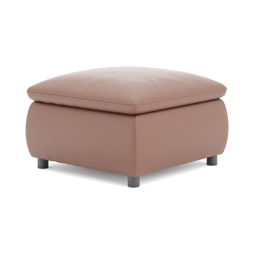 Phoenix Storage Footstool in Mocha Mousse Leather 5