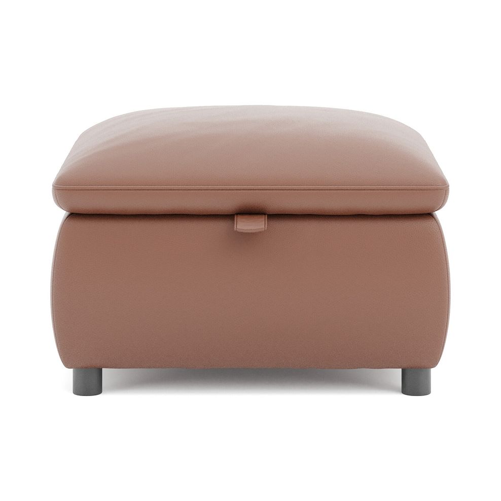 Phoenix Storage Footstool in Mocha Mousse Leather 2
