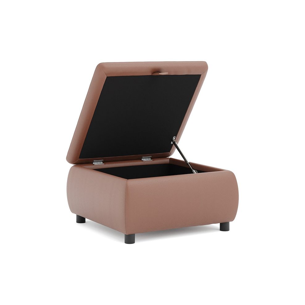 Phoenix Storage Footstool in Mocha Mousse Leather 3