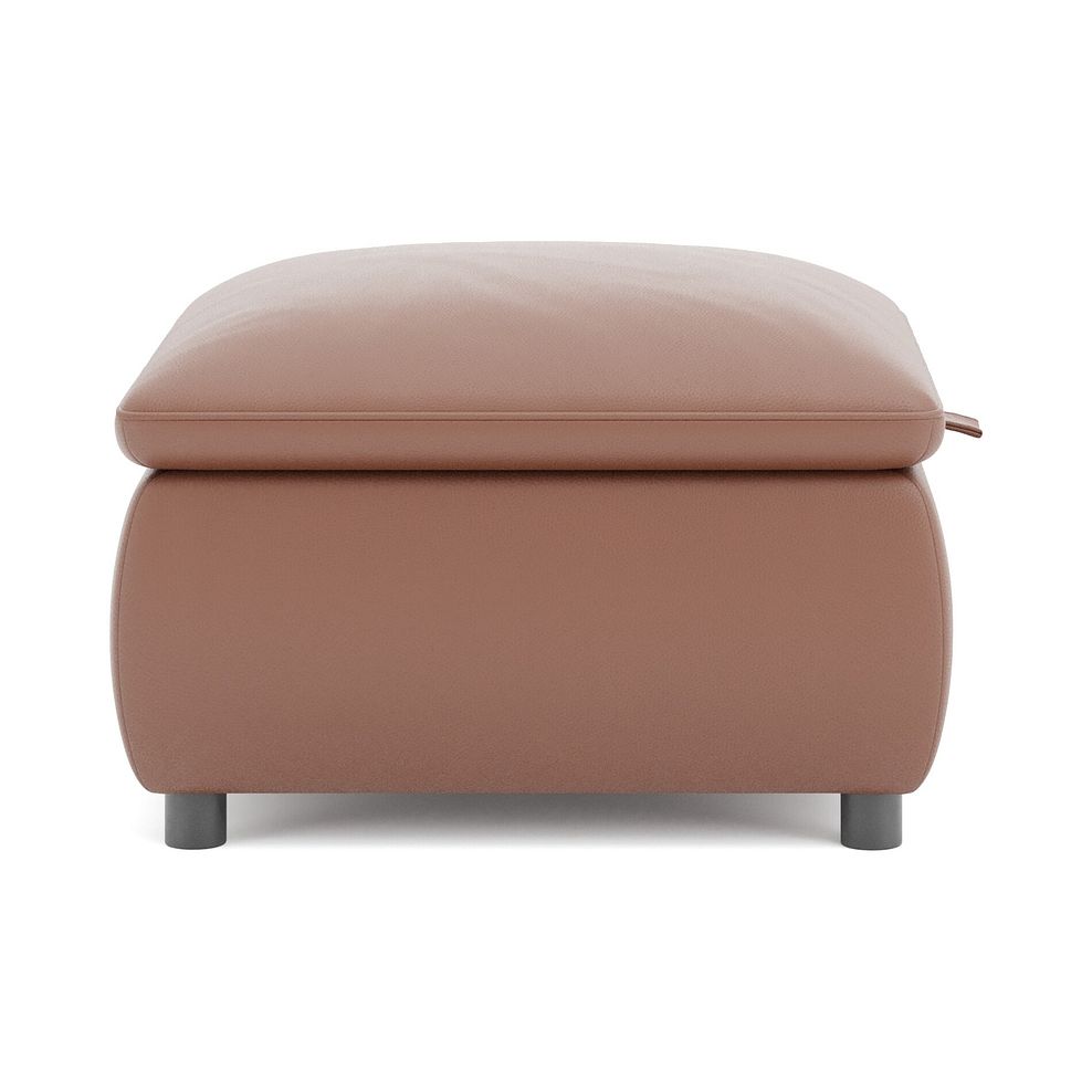 Phoenix Storage Footstool in Mocha Mousse Leather 4