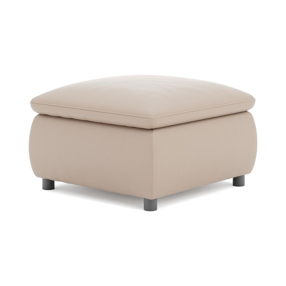 Phoenix Storage Footstool in Mushroom Leather 5