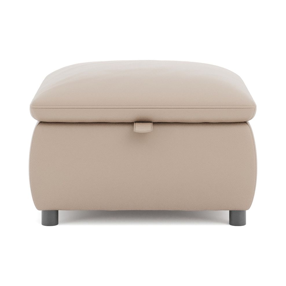 Phoenix Storage Footstool in Mushroom Leather 2