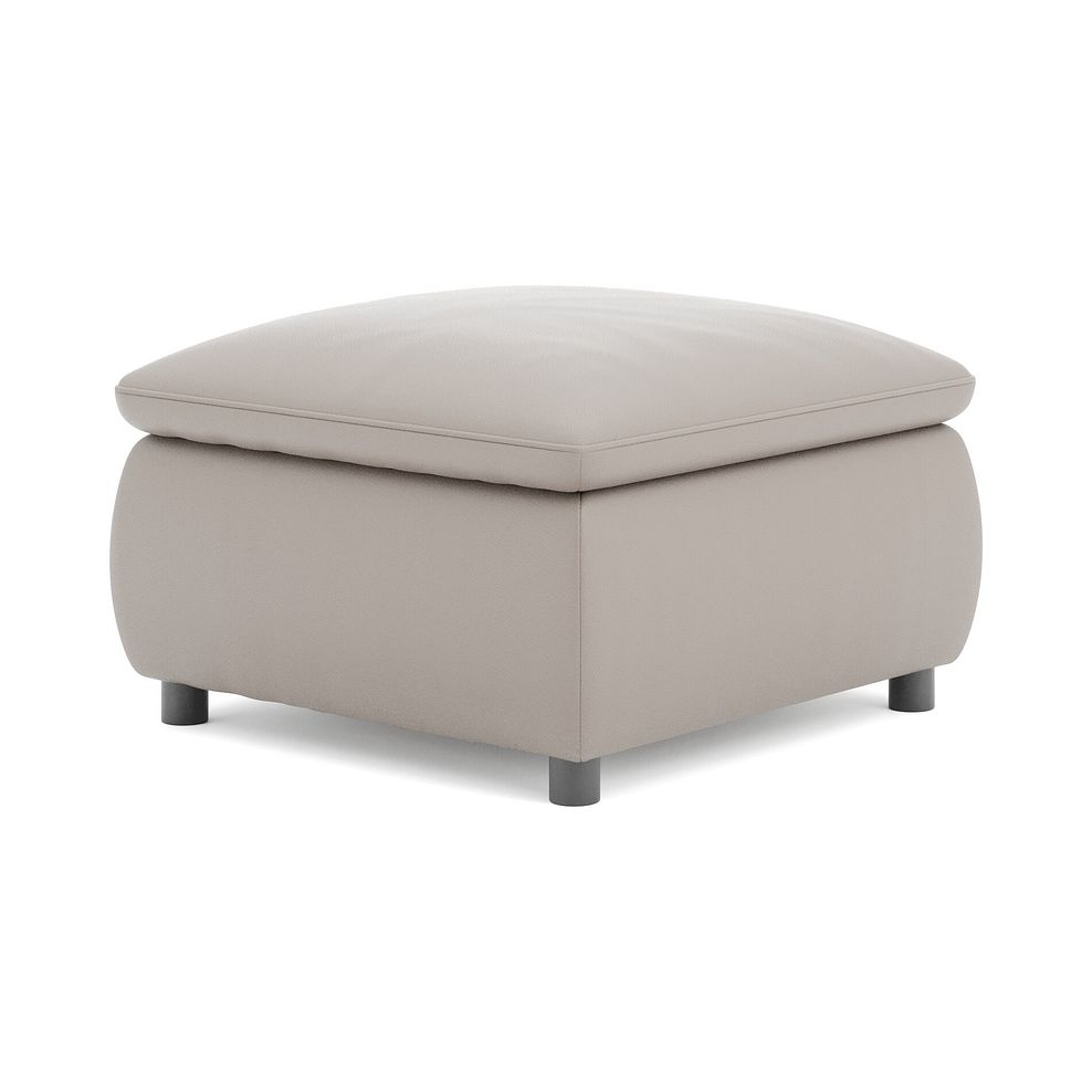 Phoenix Storage Footstool in Oyster Leather 5