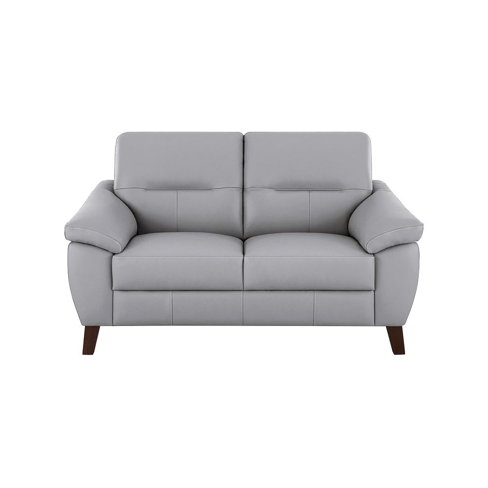 Salento 2 Seater Sofa in Grey Leather Thumbnail 2
