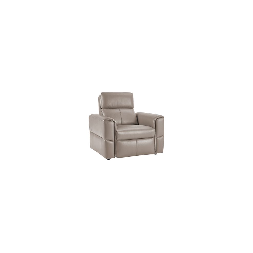Samson Static Armchair in Stone Leather 1