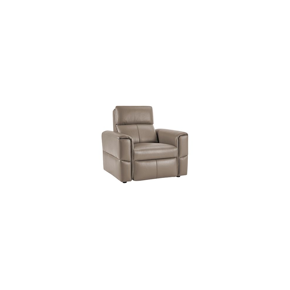 Samson Static Armchair in Taupe Leather 1