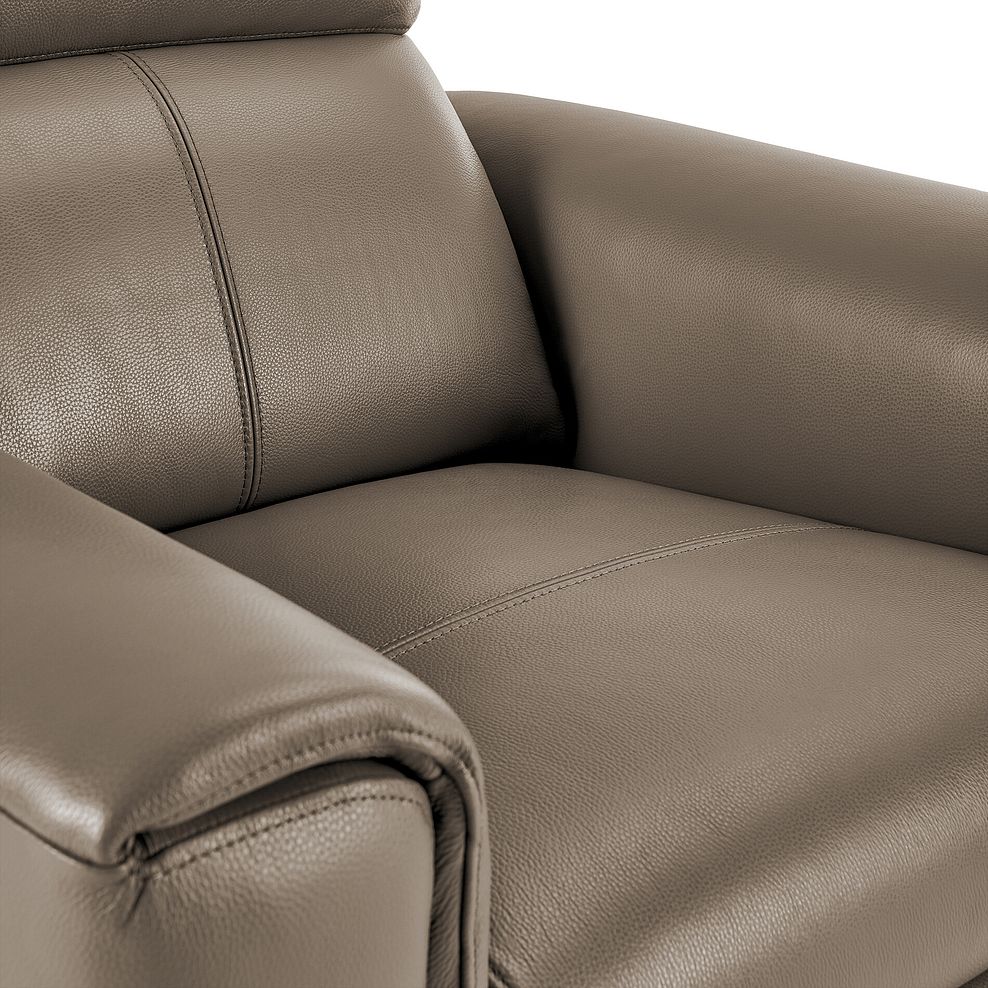 Samson Static Armchair in Taupe Leather 4