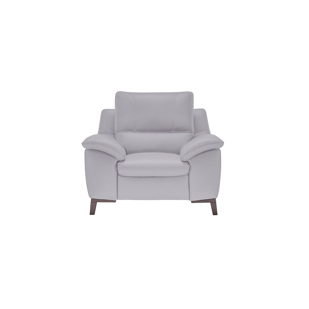 Sorrento Armchair in Grey Leather Thumbnail 2