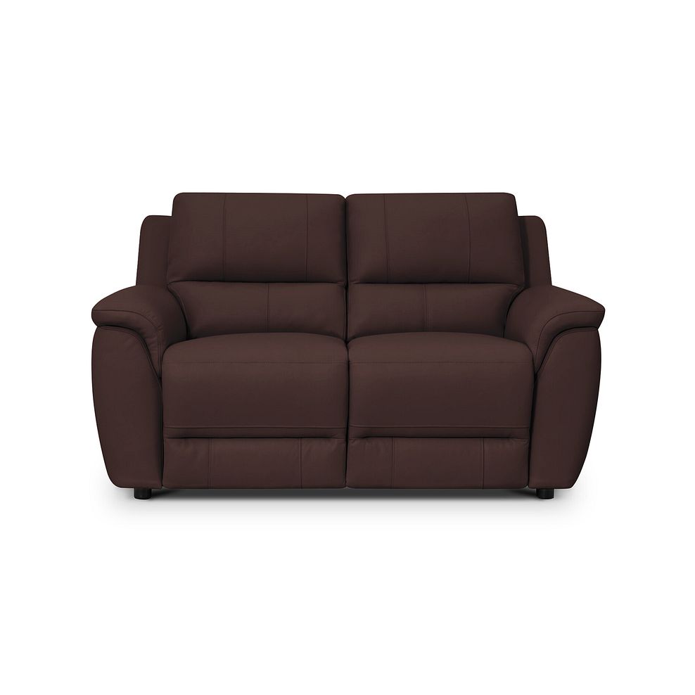 Theo 2 Seater Sofa in Chestnut Leather 2