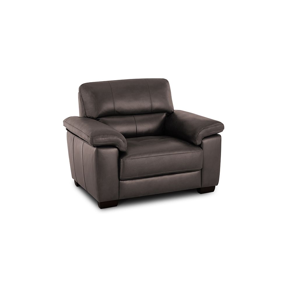 Turin Armchair in Dark Grey Leather 1