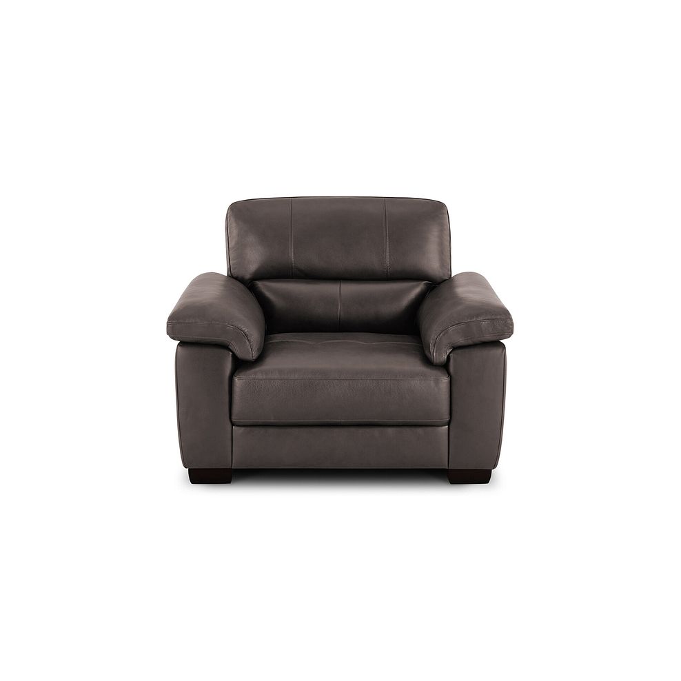 Turin Armchair in Dark Grey Leather 2