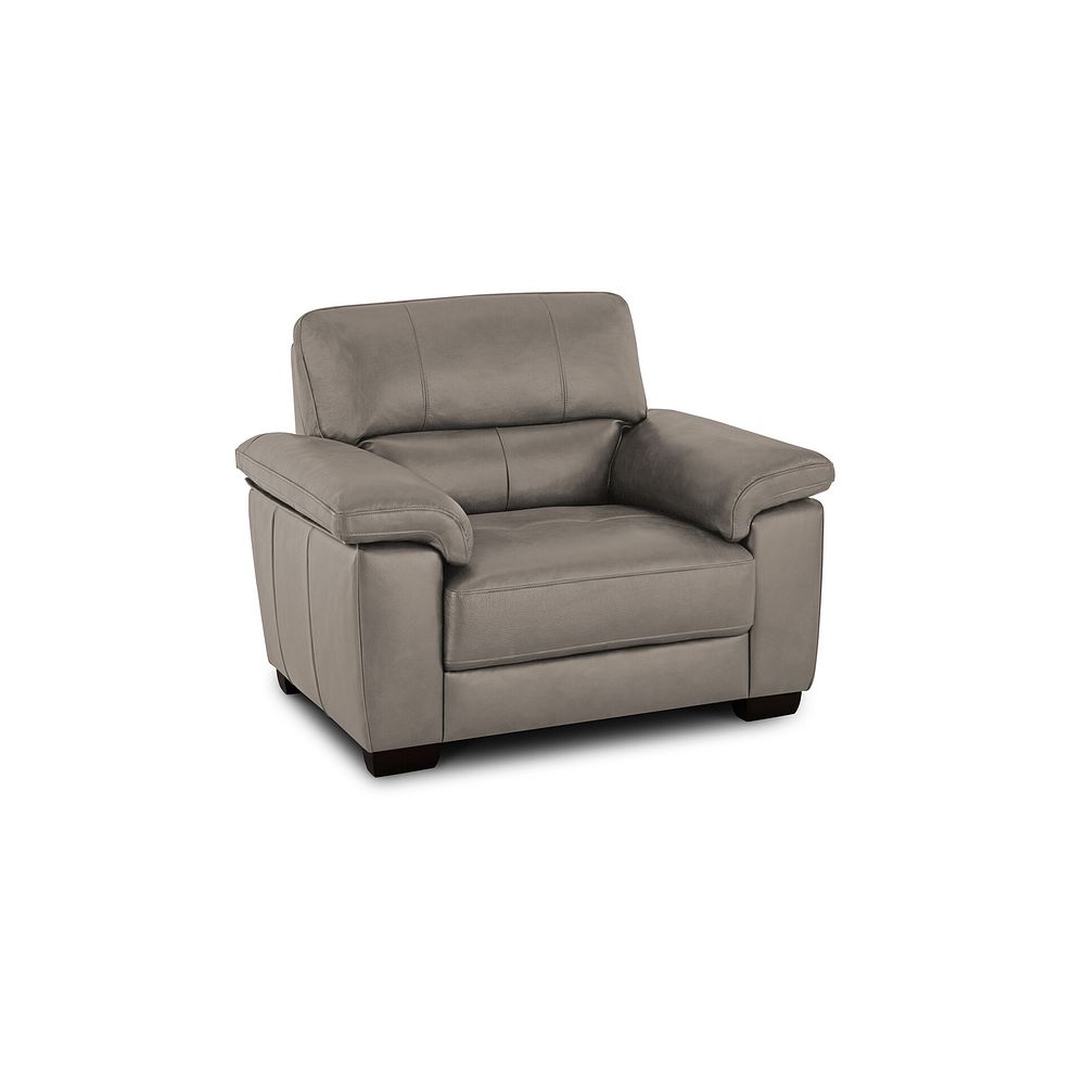 Turin Armchair in Light Grey Leather 1