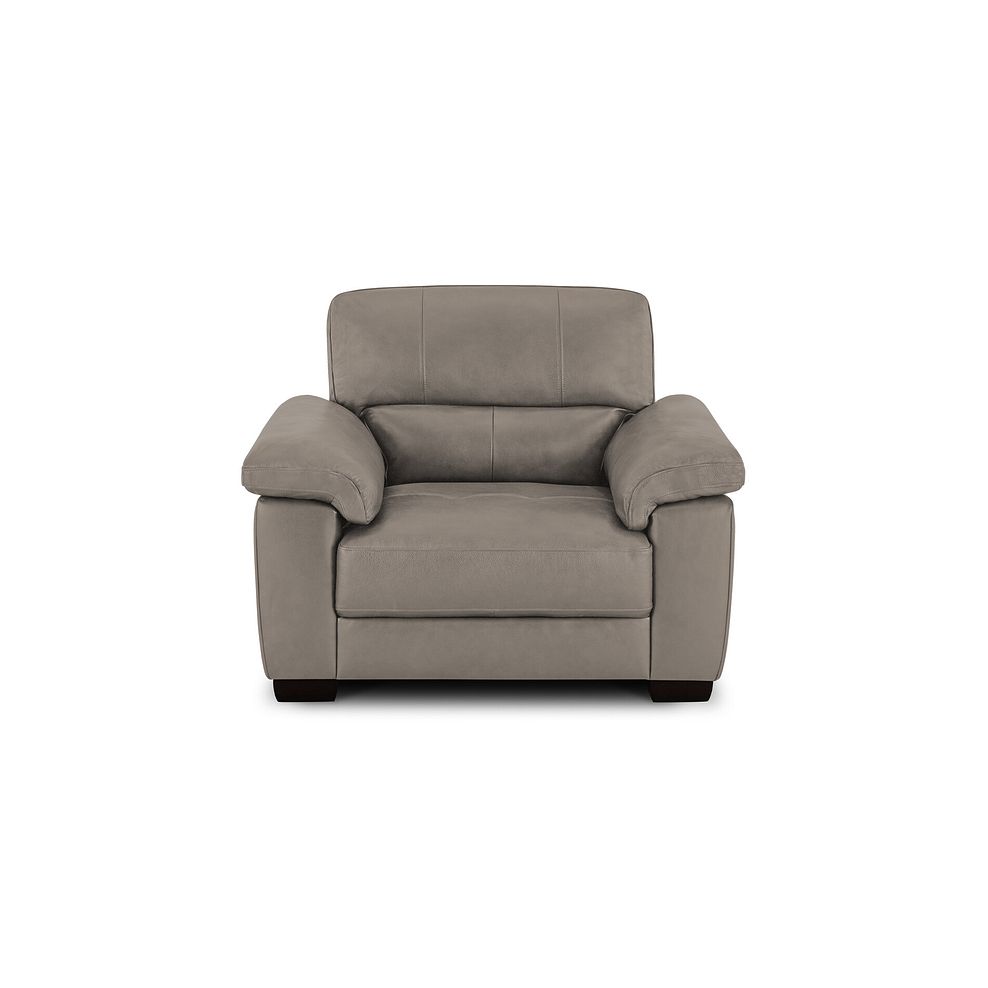 Turin Armchair in Light Grey Leather 2