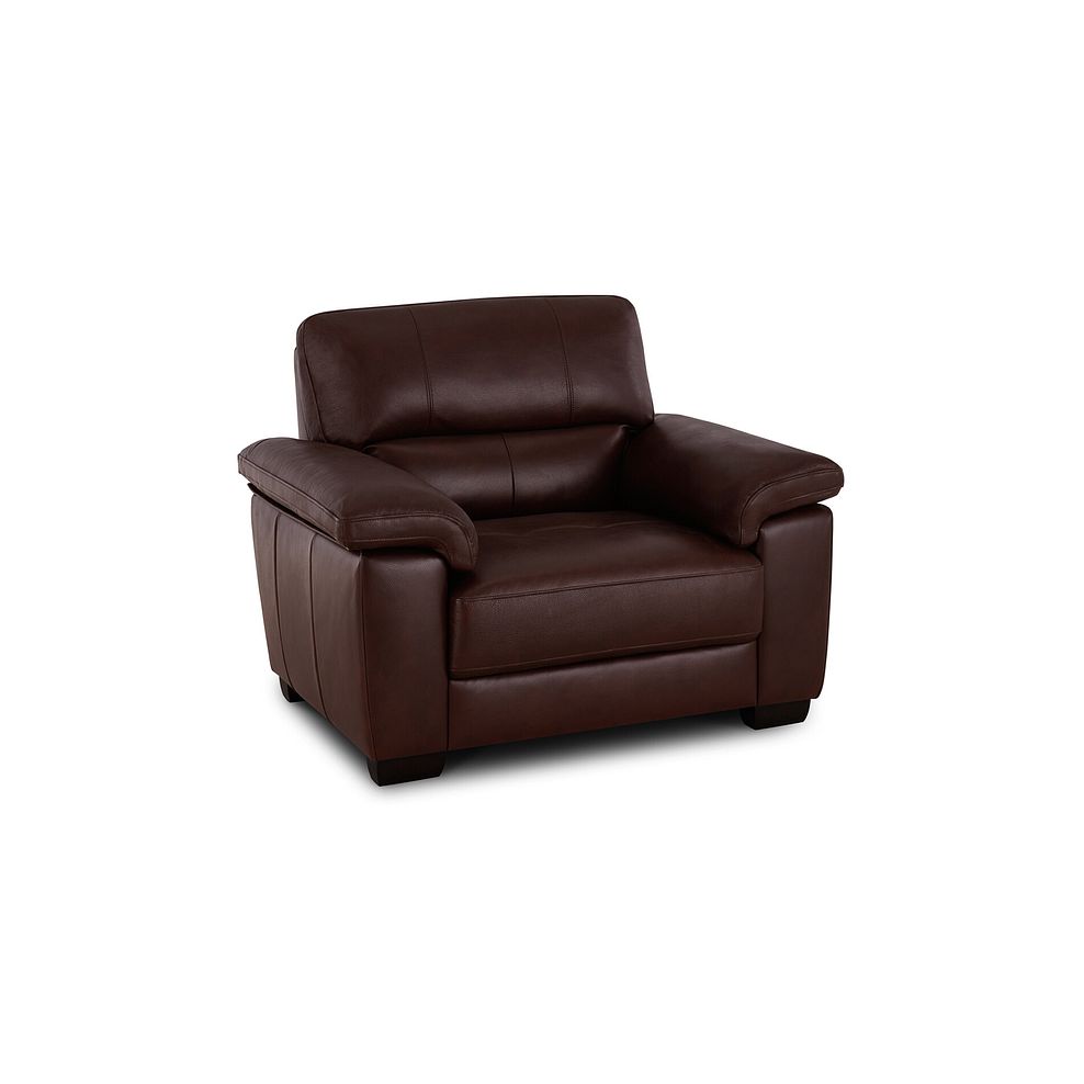 Turin Armchair in Tan Leather 1