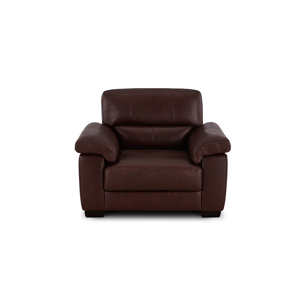 Turin Armchair in Tan Leather 2